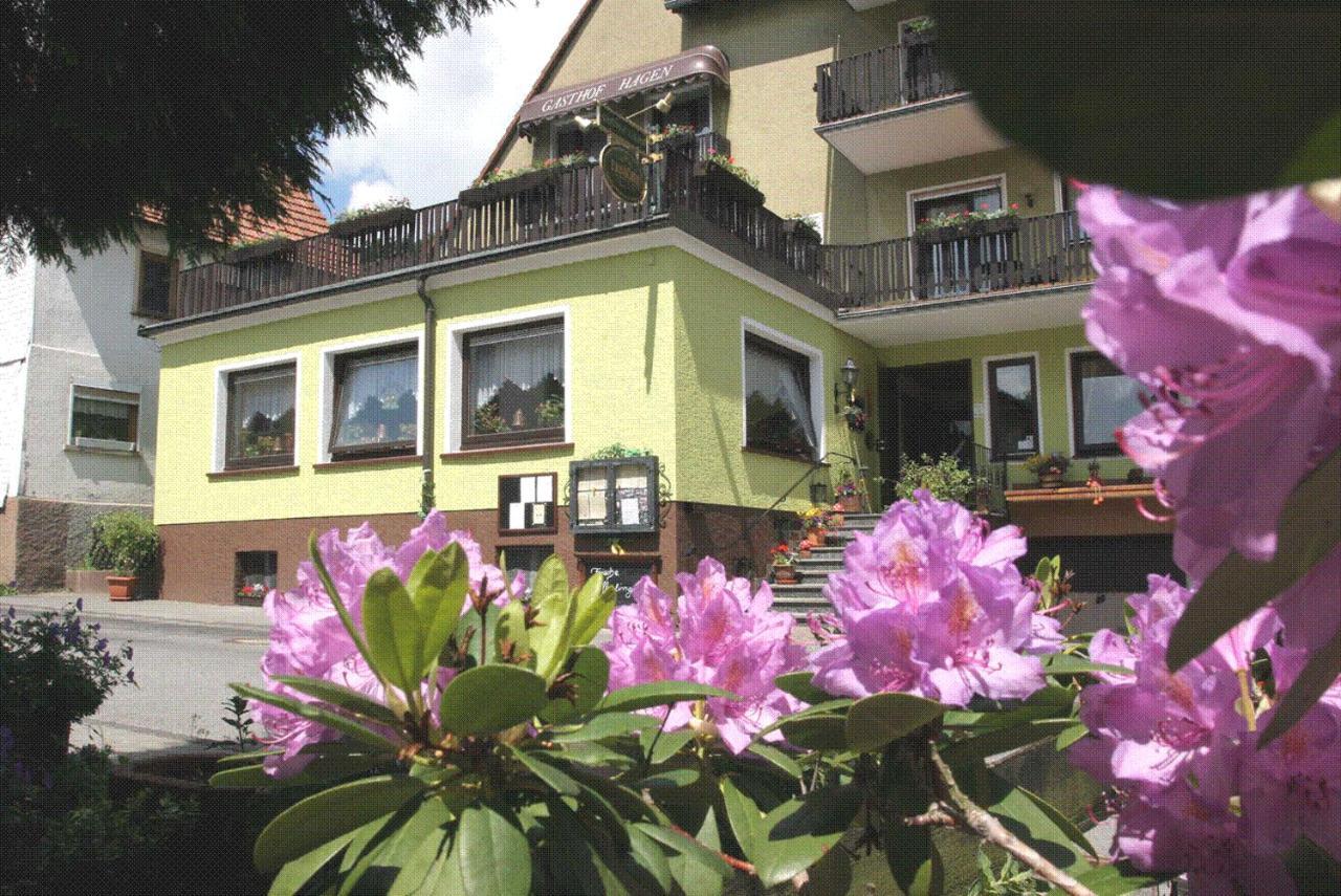 Отель Landgasthof Hagen Grasellenbach Экстерьер фото